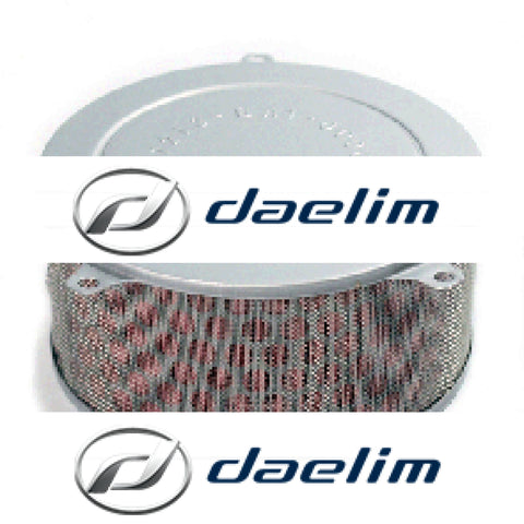 Genuine Air Filter Cleaner Daelim Daystar Vl125