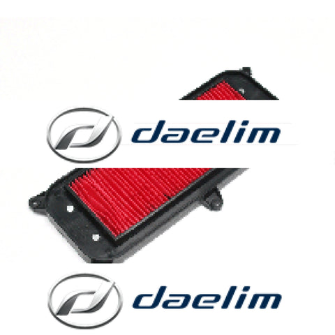 Genuine Air Filter Cleaner Daelim Sq125 Sq250 S2 125 250