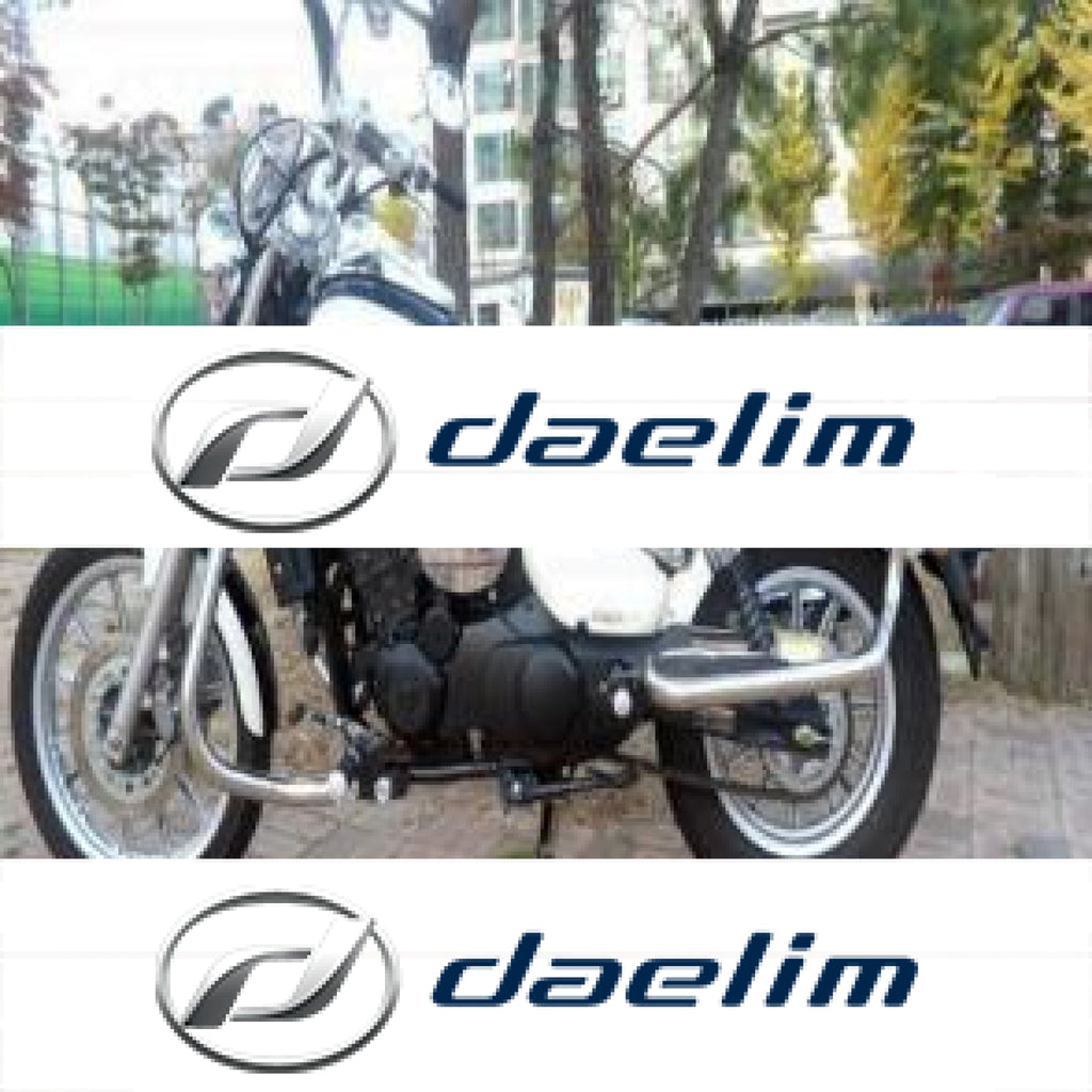 Aftermarket Engine Guard with Luggage Frame Set Daelim VL250 (Daystar