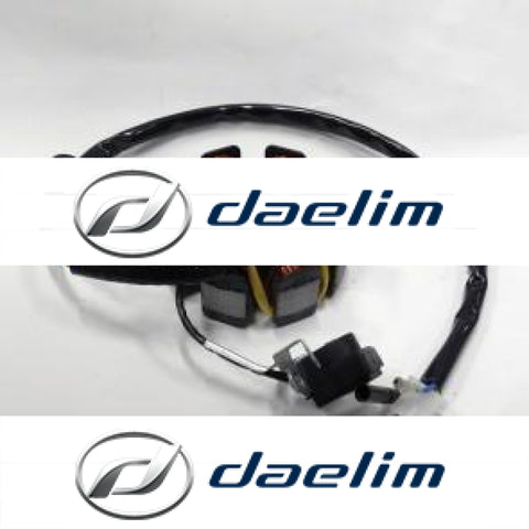Aftermarket Magneto Stator Coil Carby Daelim Vl125 Vs125 Vt125