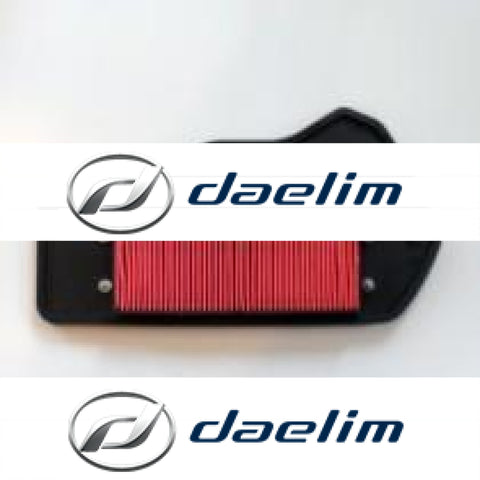 Genuine Air Filter Cleaner Daelim Sn125 S1 125 (B-Bone)