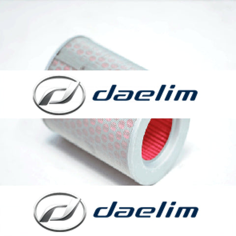 Genuine Air Filter Cleaner Daelim Vc125 Vs125 Vt125