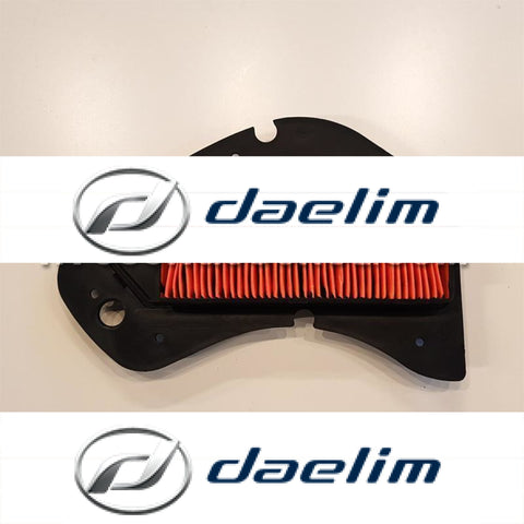 Genuine Air Filter Cleaner Old Model Daelim Su 125 Delfino