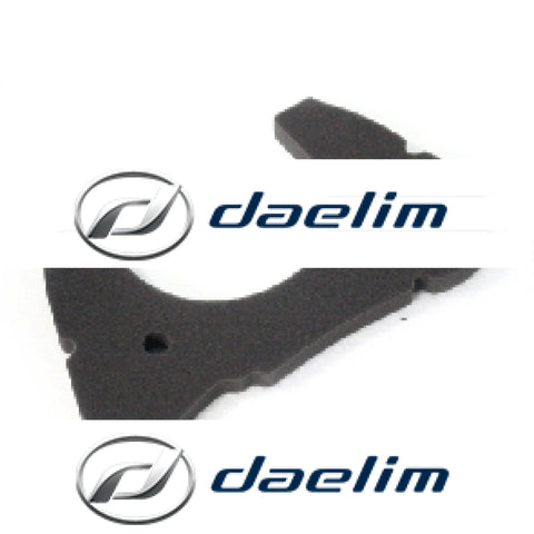 Genuine Air Filter Foam Pad Daelim Sl125 Sg125 Ns125