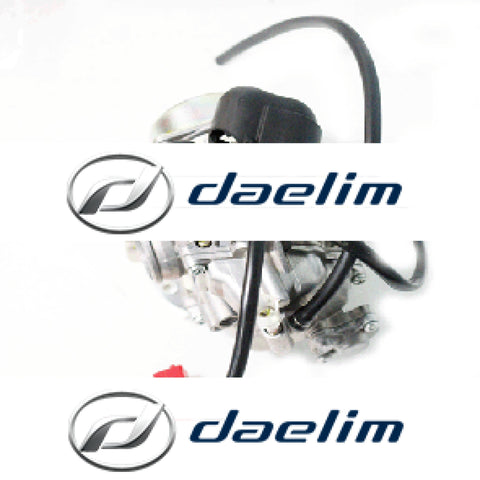 Genuine Carburetor Assy Daelim Sq250 S2 250