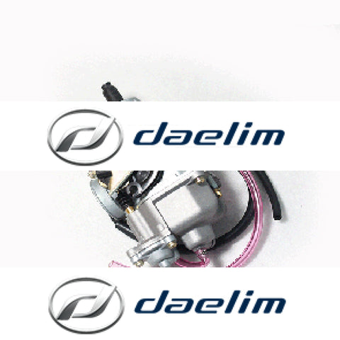 Genuine Carburetor Assy Daelim Vt125