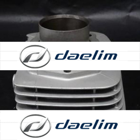 Genuine Engine Cylinder Silver Daelim Vt125