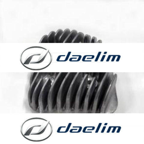 Genuine Engine Cylinder Slant Head Cover Daelim Sh100 Delfino 100