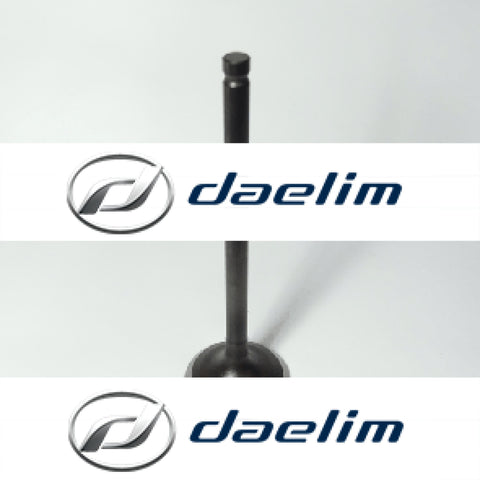 Genuine Engine Exhaust Valve Daelim Citi Ace 110