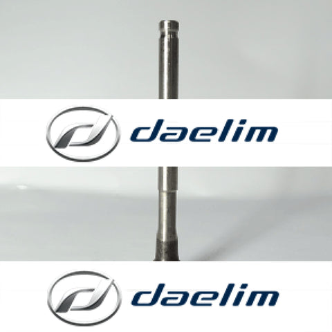 Genuine Engine Intake Valve Daelim Citi Ace 110