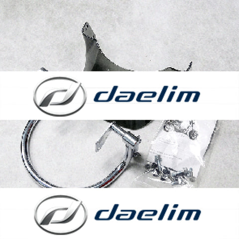 Genuine Headlight Guard Protector Assy Daelim Sn125 B-Bone