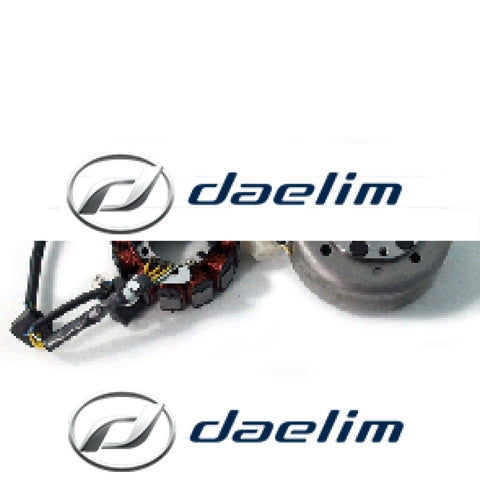 Genuine Magneto Assembly Carby Models Daelim Sq125 S2 125 Sn125 Sl125