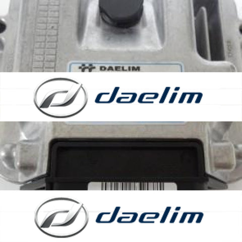 Genuine New Engine Control Unit Daelim Vl125 Daystar 125