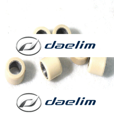 Genuine Roller Weights Set (6 Pcs) Daelim Sh100