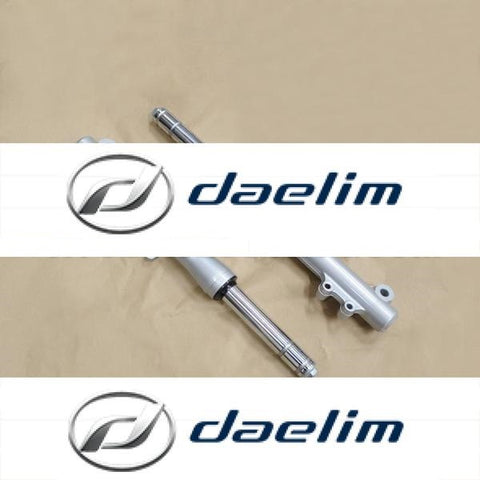 Genuine Silver Front Forks Suspension Set Daelim SL125